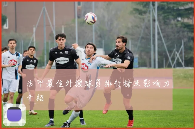法甲最佳外援球员排行榜及影响力介绍