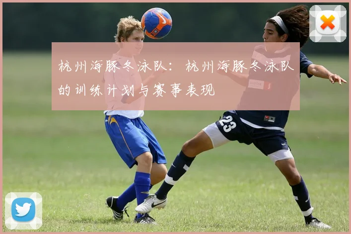 杭州海豚冬泳队：杭州海豚冬泳队的训练计划与赛事表现