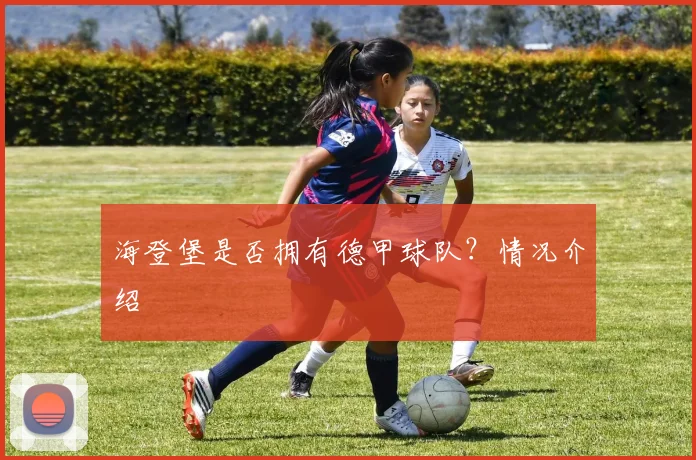 海登堡是否拥有德甲球队？情况介绍