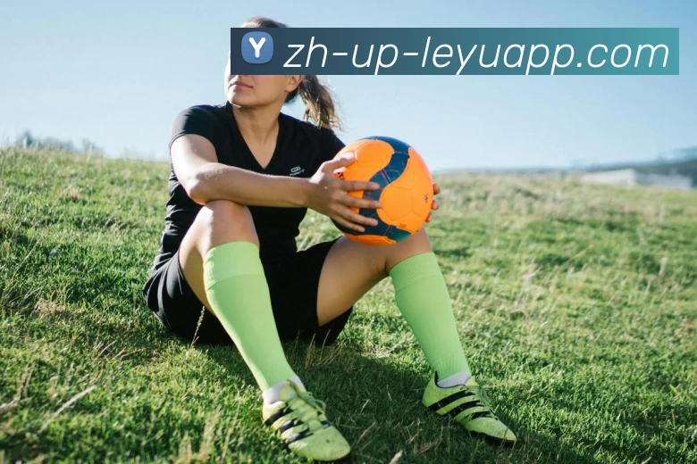 乐鱼体育平台生态图