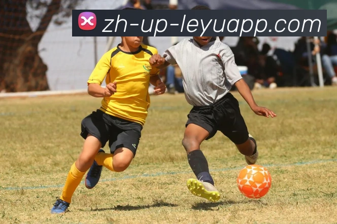 乐鱼体育全站App